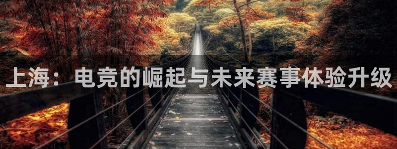 nba833直播免费观看直播在线：上海：电竞的崛起与未来赛事体验升级