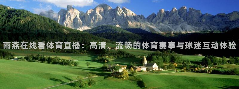 3833tv直播：雨燕在线看体育直播：高清、流畅的体育赛事与球迷互动体验