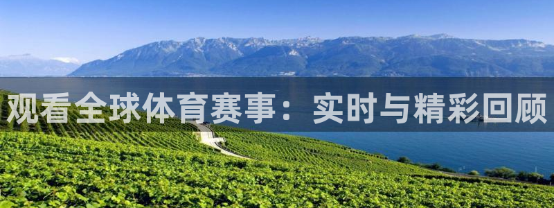833比赛直播：观看全球体育赛事：实时与精彩回顾