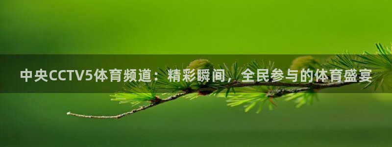 833体育在线直播在线看免费版：中央CCTV5体育频道：精彩瞬间，全民参与的体育盛宴