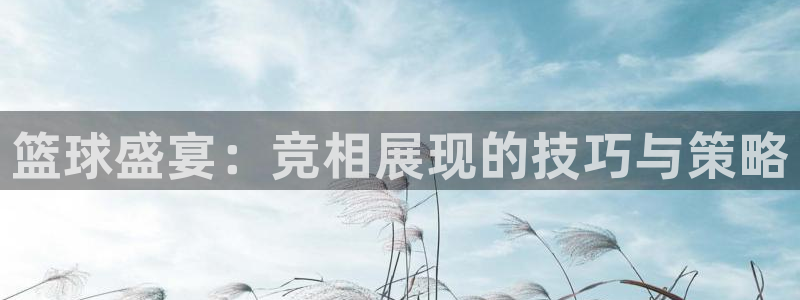 833足球直播免费完整：篮球盛宴：竞相展现的技巧与策略