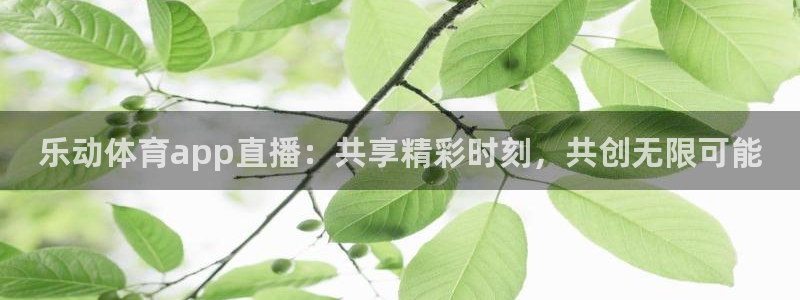 833体育在线直播：乐动体育app直播：共享精彩时刻，共创无限可能