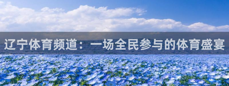 833直播足球免费观看：辽宁体育频道：一场全民参与的体育盛宴